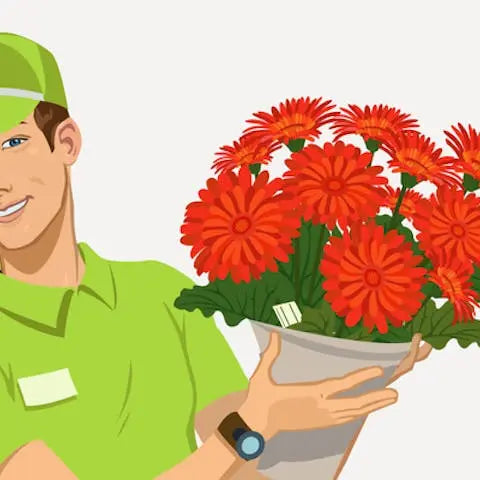 Be-smart-how-to-save-when-sending-international-flowers Flora Queen