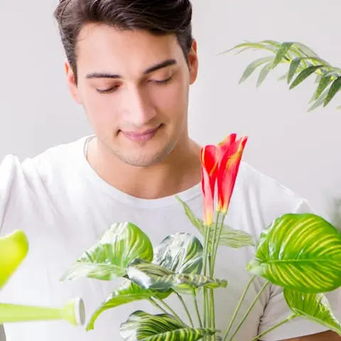 What-are-the-5-best-flowers-to-give-to-men Flora Queen