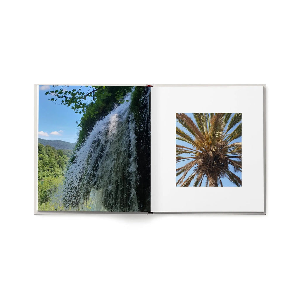 123ae1d6a05e1b948c933ff5c9852645