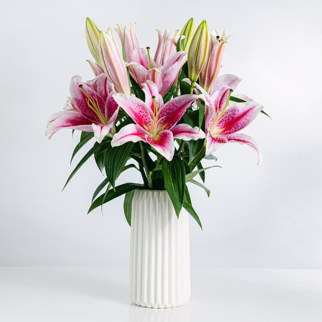 Better Together Flora Queen