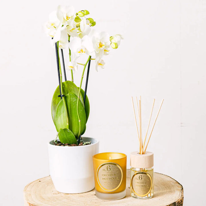 Mini Golden Charm Flora Queen Flora Queen