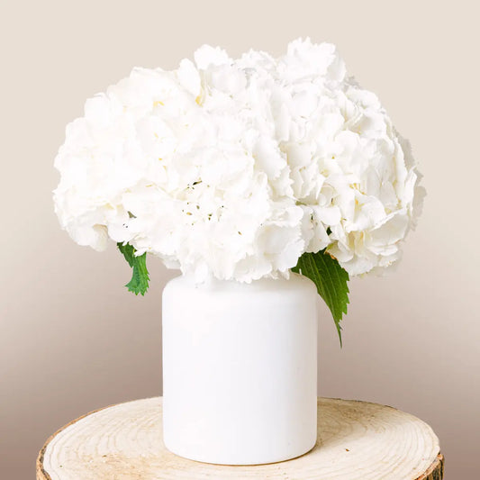 Graceful Winter Flora Queen Flora Queen