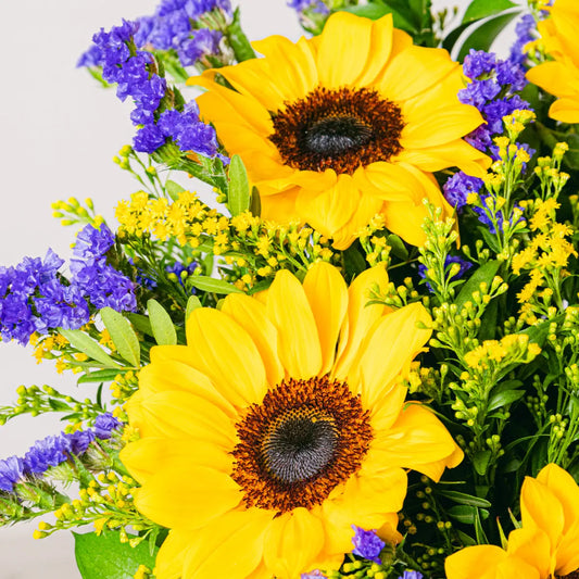 Sunshine boost Flora Queen Flora Queen