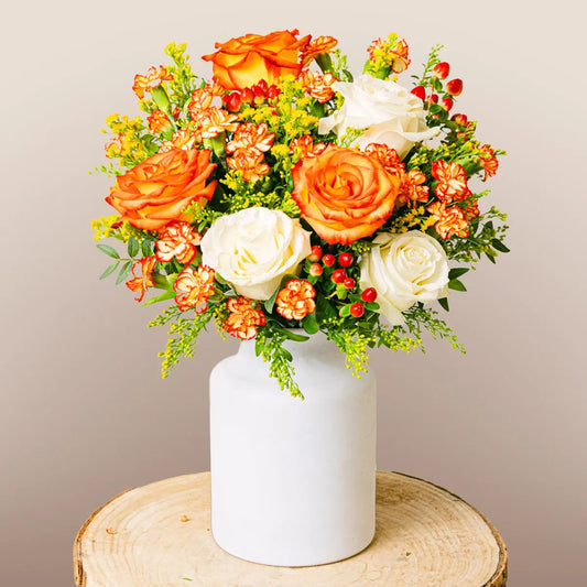 Rose Blooming Flora Queen