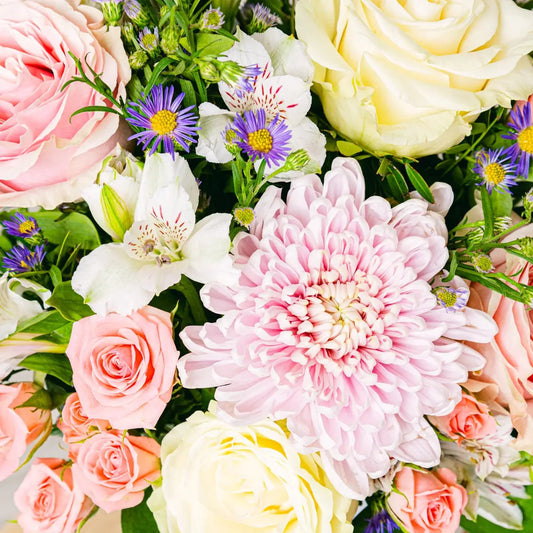 Infinite Strengh Flora Queen Flora Queen