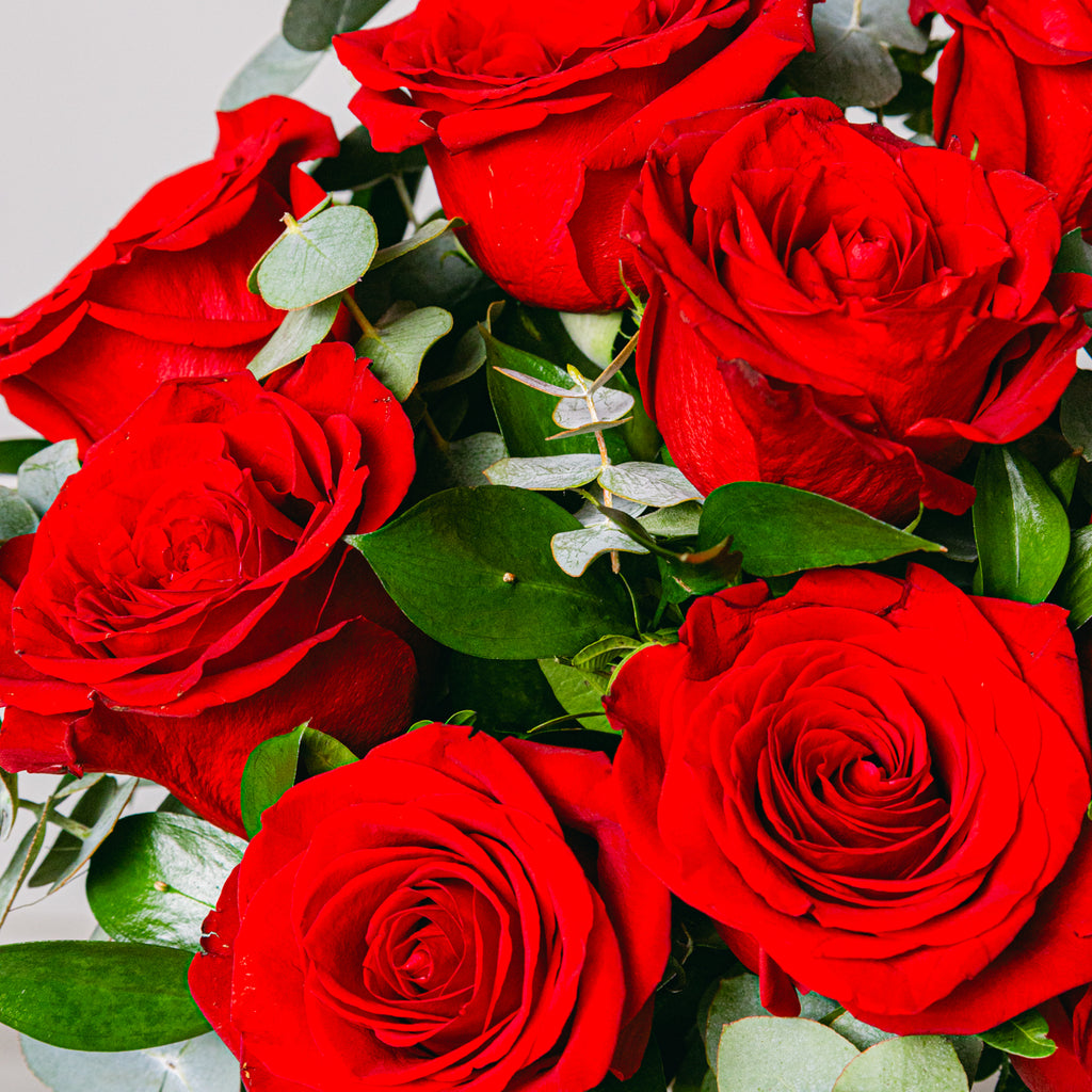 Timeless Love Flora Queen