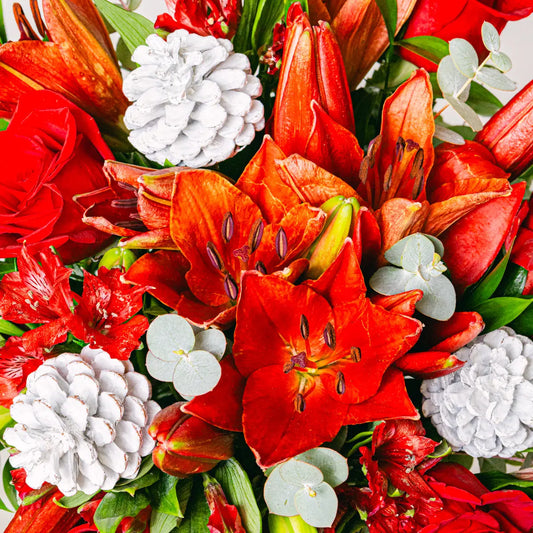 New Year’s Sparkles Flora Queen Flora Queen