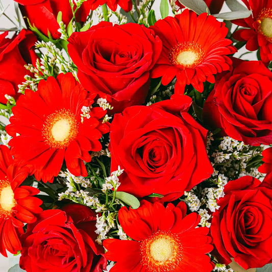 A Moment Of Joy Flora Queen Flora Queen