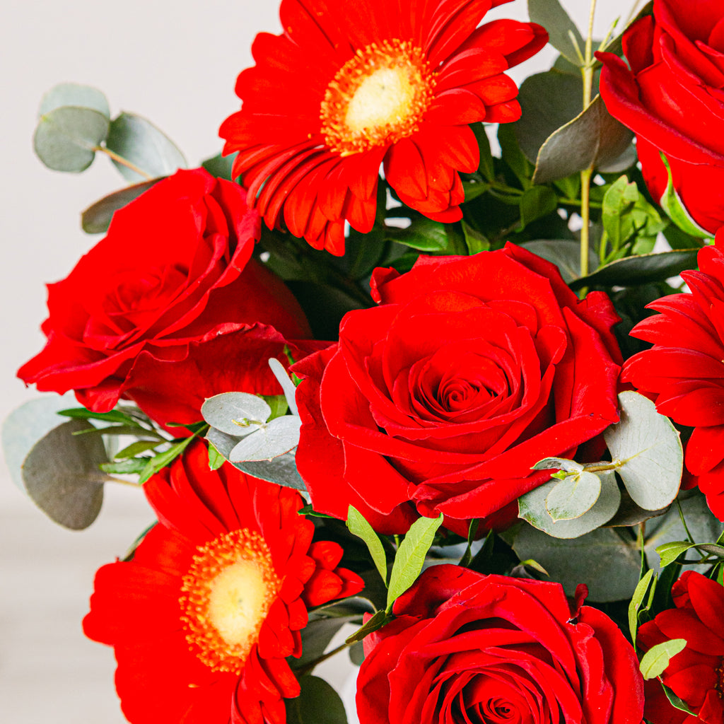 Premium Delight Flora Queen