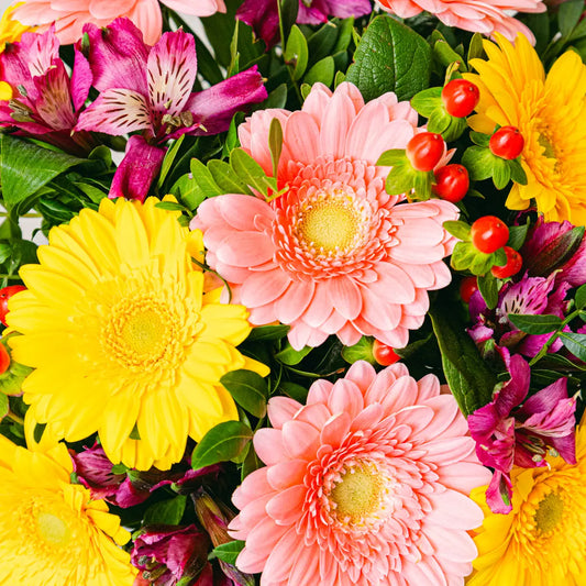 Sunlit Wishes Flora Queen Flora Queen