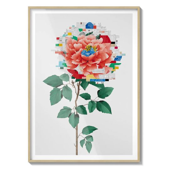Rose Collage Flora Queen Flora Queen