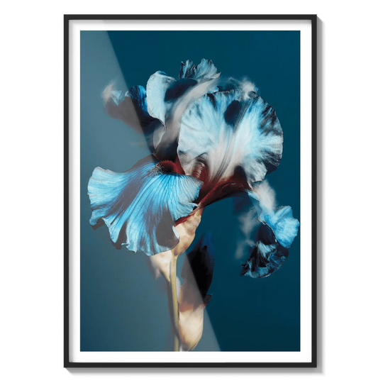 Ocean Bloom Flora Queen Flora Queen